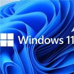 COMPUTERSTORE - MICROSOFT 365 (ESD-Licenza elettronica) - BUSINESS STANDARD  KLQ-00211 - Subscription 1 anno - WIN+MAC (Office) Fino:29/02