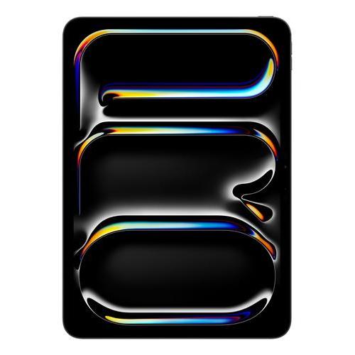 APPLE 11INCH IPAD PRO WIFI 256GB WITH STANDARD GLASS SPACE BLACK